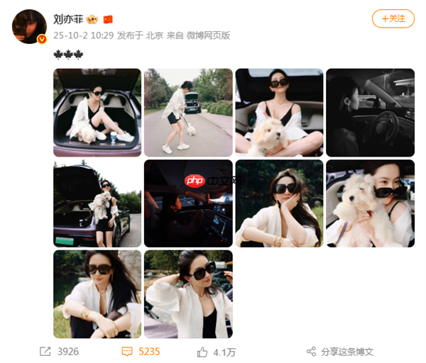 刘亦菲开智界R7国庆自驾游 白衬衫黑吊带松弛感拉满