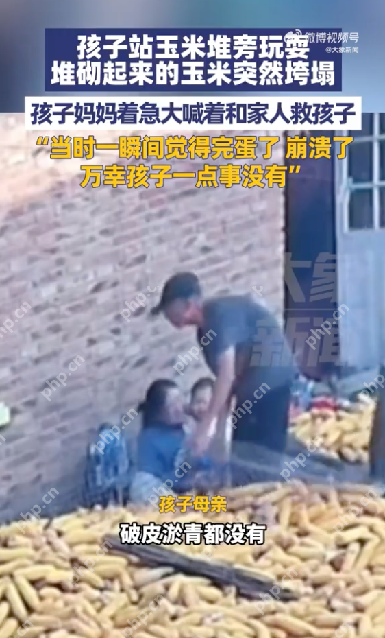 孩子被垮塌的玉米堆掩埋 孩子母亲：万幸没事 - 创想鸟