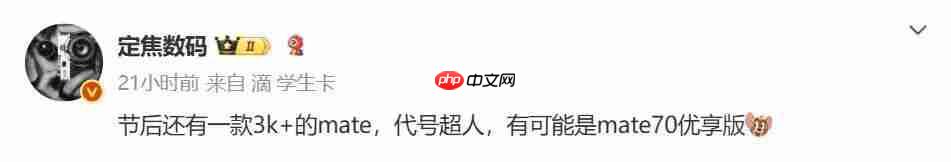  华为 Mate 80 或 11 月发，细节再曝 