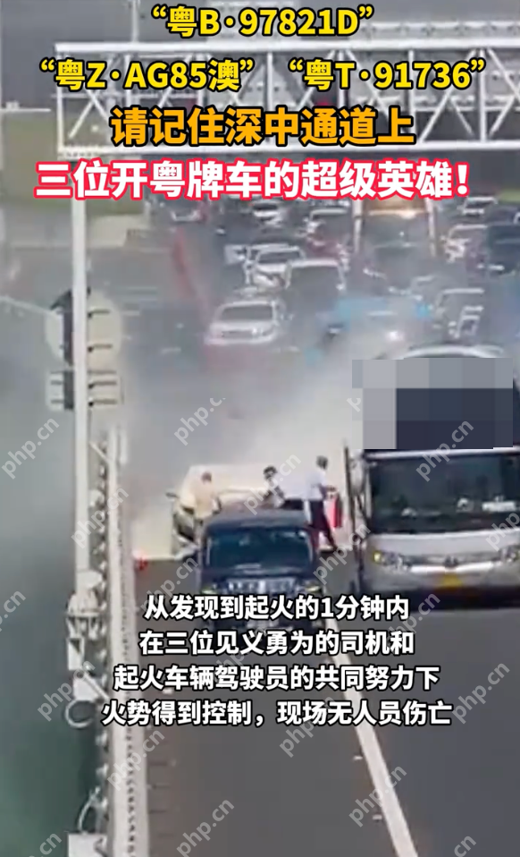 深中通道上三位开粤牌车的超级英雄：“粤B·97821D” “粤Z·AG85澳”“粤T·91736” - 创想鸟