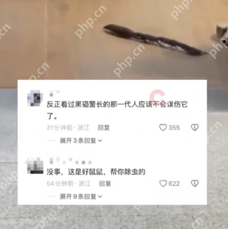 广州一市民家中惊现鼠条是怎么回事？详情介绍 - 创想鸟