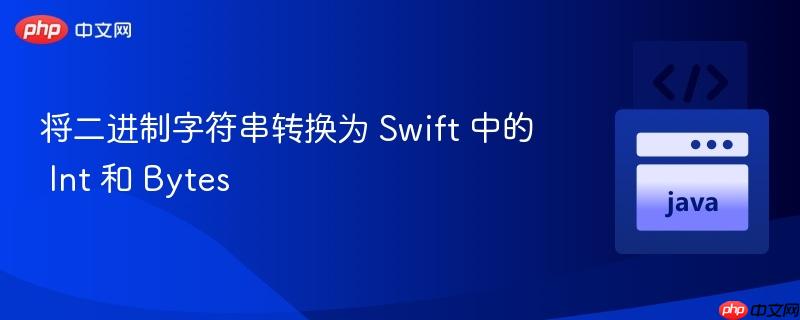将二进制字符串转换为 Swift 中的 Int 和 Bytes