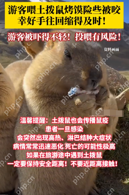 游客喂土拨鼠烤馍险被咬 温馨提示：土拨鼠或传播鼠疫，切勿因萌接触 - 创想鸟
