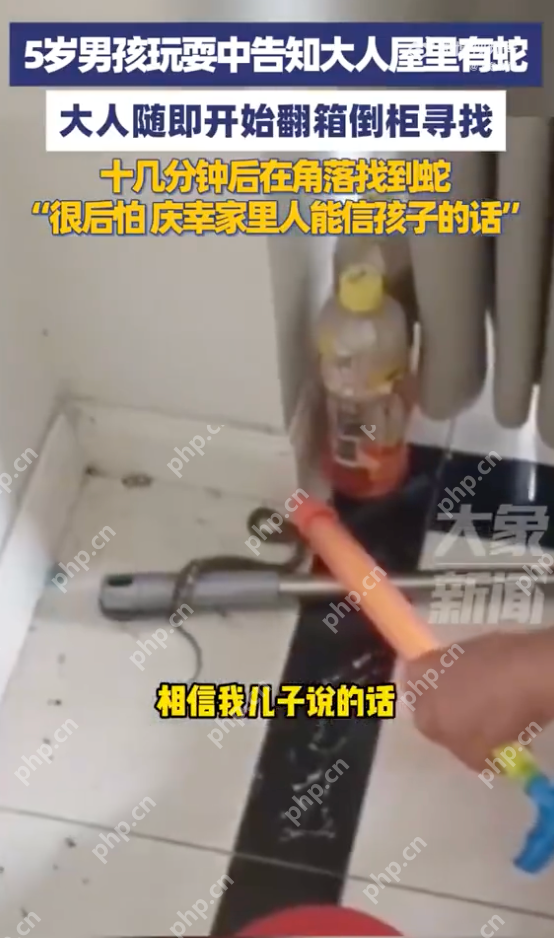 男孩说屋里有蛇大人翻箱倒柜后找到 孩子父亲：很后怕，庆幸听了孩子的话 - 创想鸟