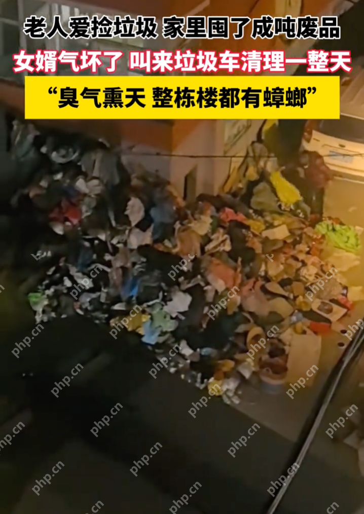 老人爱捡垃圾家里囤了成吨废品：“臭气熏天 整栋楼都有蟑螂” - 创想鸟