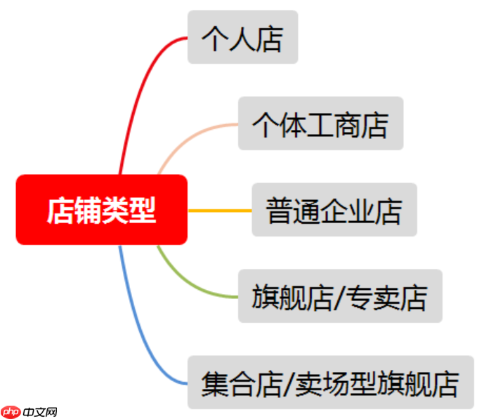 小红书开店铺的流程是什么？开店需要什么条件？小红书开店铺全流程解析：从条件到上线的完整指南