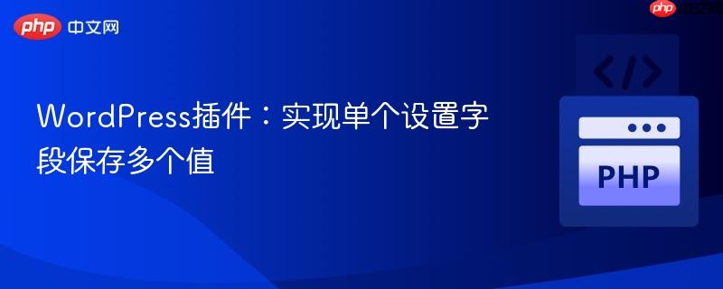 WordPress插件：实现单个设置字段保存多个值