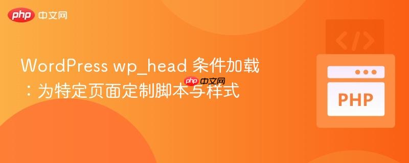 WordPress wp_head 条件加载：为特定页面定制脚本与样式