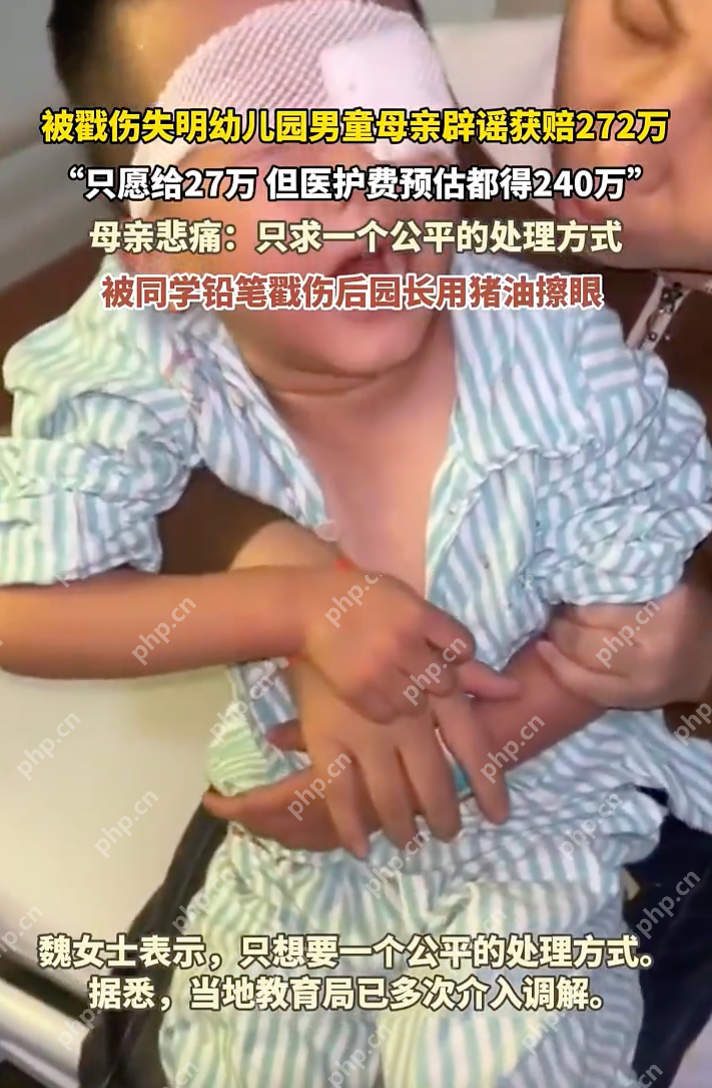 被戳伤失明男童母亲辟谣获赔272万：只愿给27万，但医护费预估都得240万 - 创想鸟
