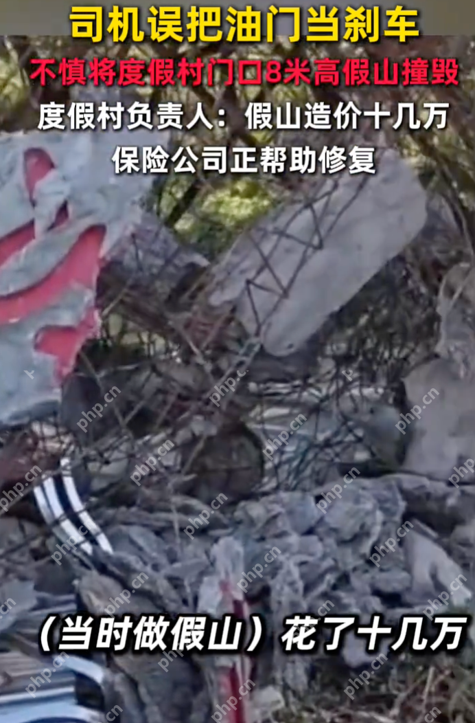 司机误把油门当刹车将8米高假山撞毁 度假村负责人：假山造价十几万 - 创想鸟