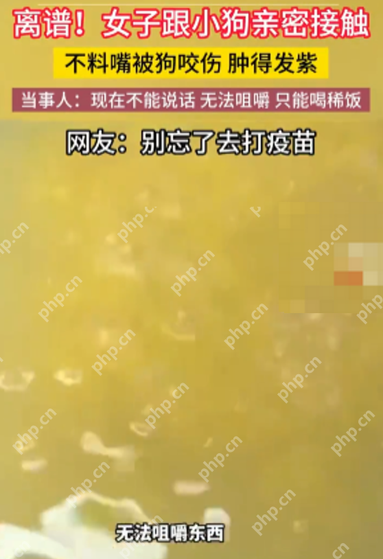 女子亲小狗嘴被咬伤肿的发紫 当事人：现在无法说话不能咀嚼只能喝粥 - 创想鸟