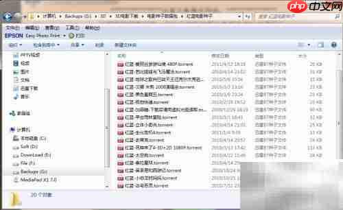 红蓝3D电影观看指南
