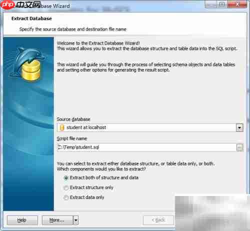 Maestro导出数据库指南