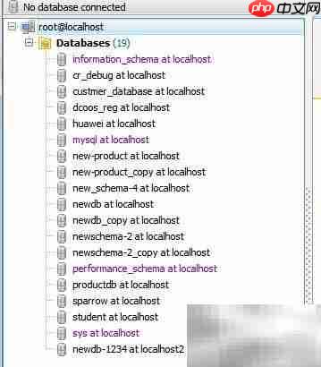 Maestro导出数据库指南