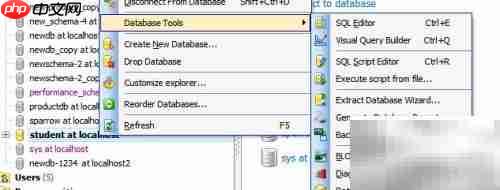 Maestro导出数据库指南