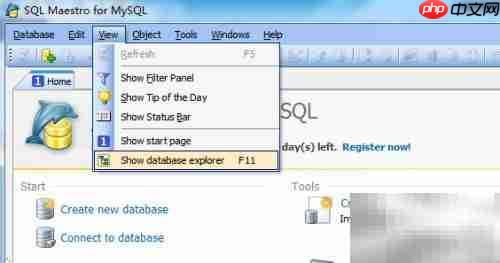 Maestro导出数据库指南