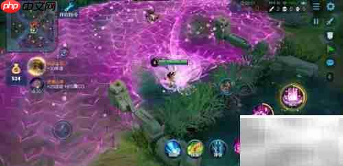 王者无CD，畅享无限技能