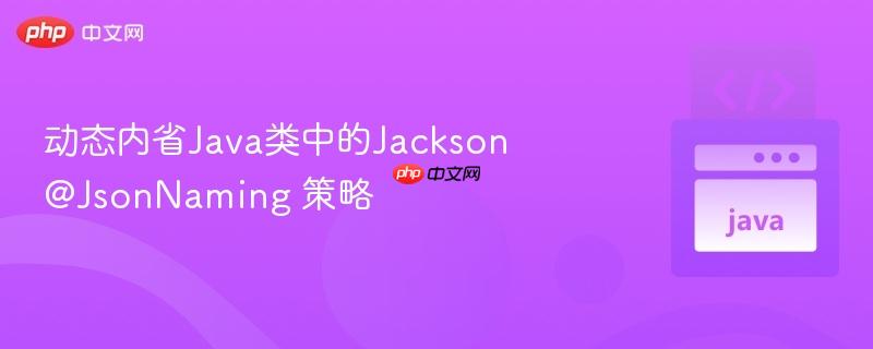 动态内省Java类中的Jackson @JsonNaming 策略