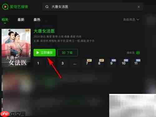 大唐女法医观看指南