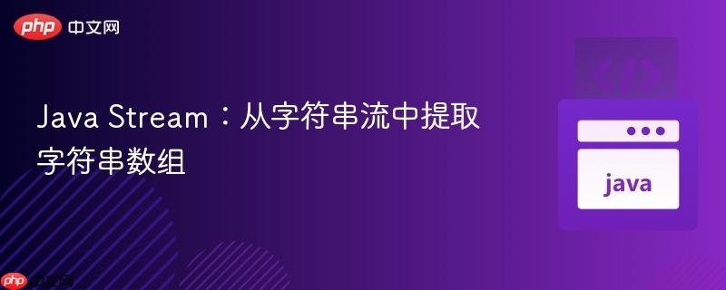 Java Stream：从字符串流中提取字符串数组
