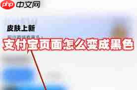 支付宝页面如何变成黑色