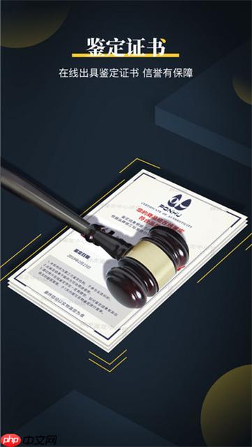 鉴定师app怎么看直播鉴定_鉴定师app直播鉴定观看与互动方式