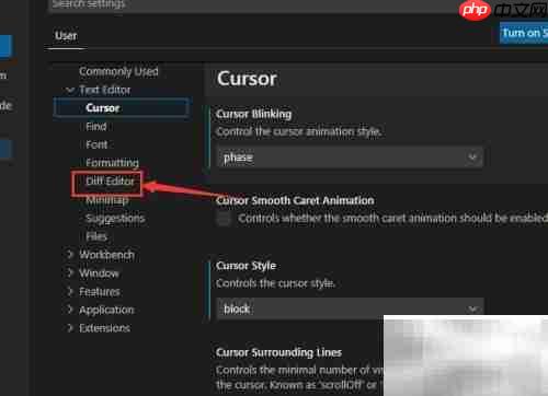 关闭VS Code渲染指示器方法