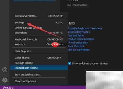 关闭VS Code渲染指示器方法