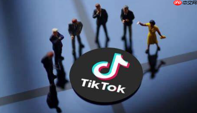 什么是TikTok直播推流码？TikTok直播推流码获取方法详解，如何提升流量与收益？