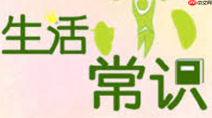 Line聊天应用缓存如何高效清理_Line高效清理聊天缓存方法