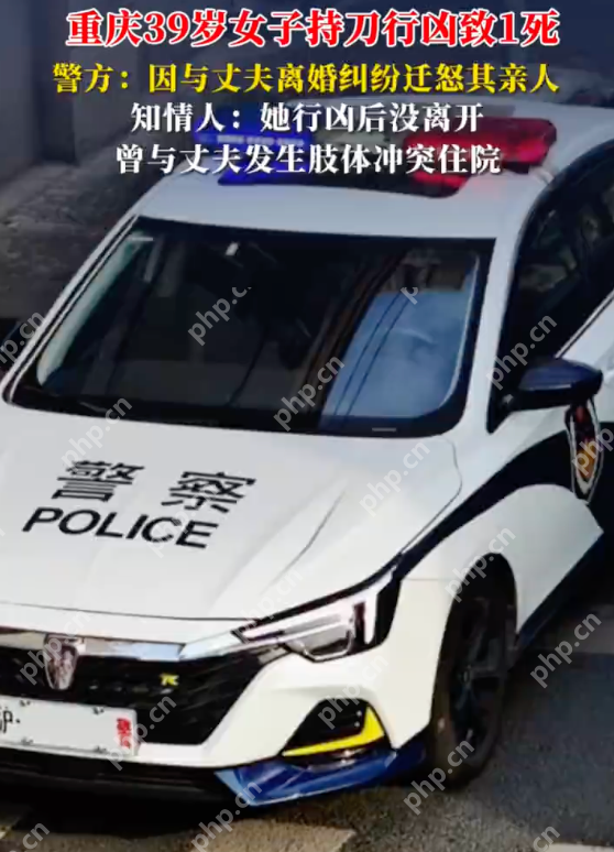 重庆警方通报女子持刀行凶致人死亡：因离婚纠纷迁怒丈夫亲人 - 创想鸟