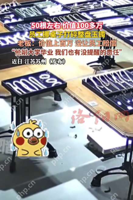 员工打碎百万玉镯，老板回应“不用赔”：刚毕业，公司也有责任 - 创想鸟