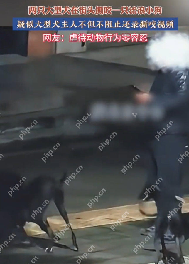两大型犬撕咬流浪狗 疑似犬主不制止是怎么回事？详情介绍 - 创想鸟