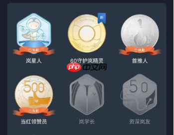 抖音名字后面的勋章是什么意思？如何提高上热门的几率？提升自己的影响力。