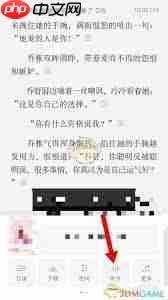 红袖读书如何听书