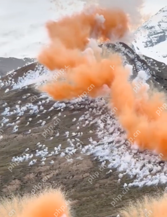 官方通报升龙烟花秀：多人被免职 - 创想鸟