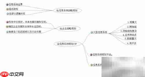 解读ISP：信息系统规划