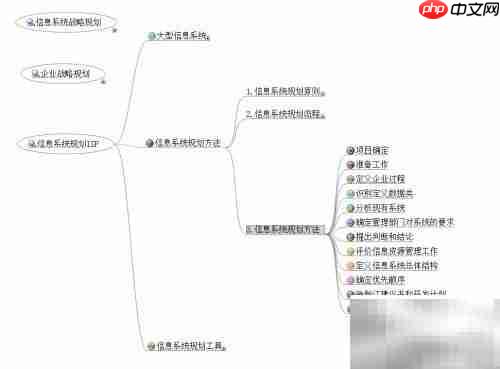 解读ISP：信息系统规划