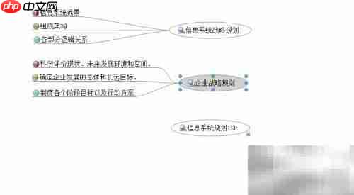 解读ISP：信息系统规划