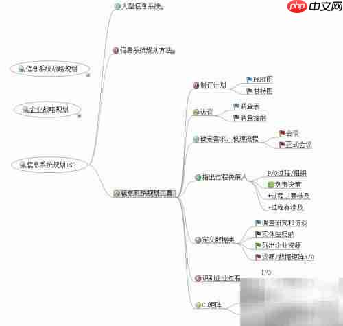解读ISP：信息系统规划