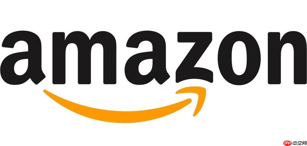 亚马逊代购支付额度管理_亚马逊代购支付额度规划