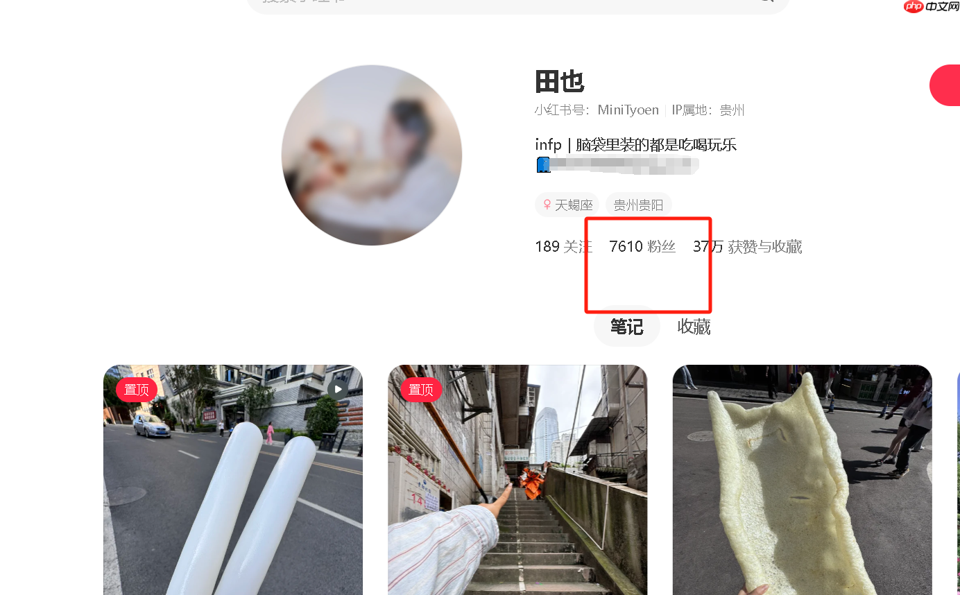 小红书1000粉的报价是多少？1000粉丝账号的商业价值究竟有多大？粉丝数量与广告收益的关系揭秘！