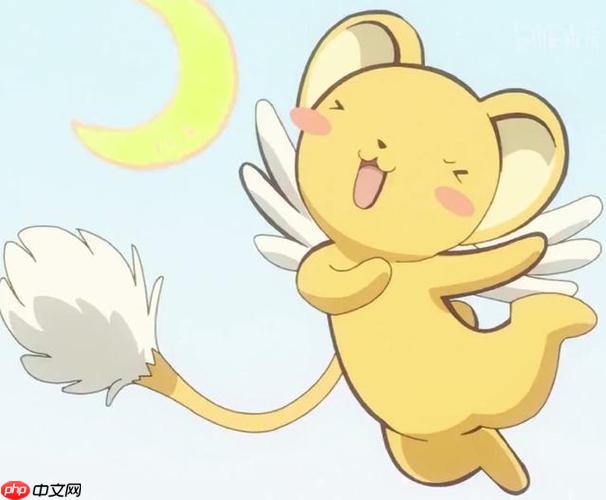 小可搜搜app如何搜索冷门知识 小可搜搜app的长尾关键词策略