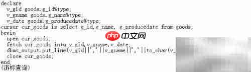 oracle游标应用精要
