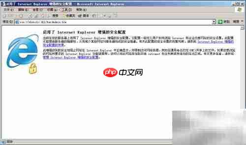 Win Server 2003调IE安全等级