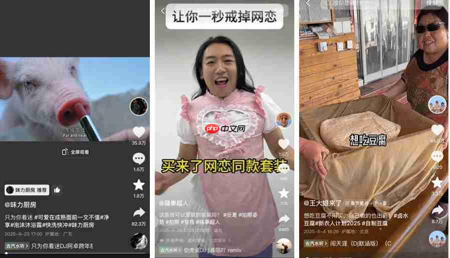 短视频爆款开头：5秒诱饵设计，如何利用大脑本能捕获流量