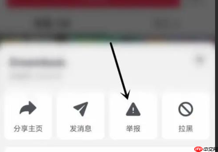 抖音飞鸽举报功能怎么使用？操作步骤是什么？详细图文指引最新版来啦！