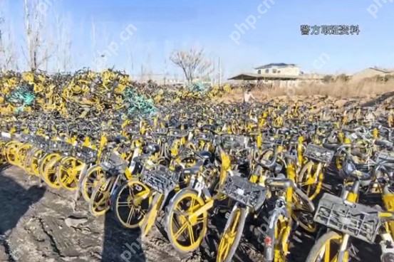 男子偷上万辆共享单车每辆卖105元，盗车速度过快导致收赃人员反欠其20多万