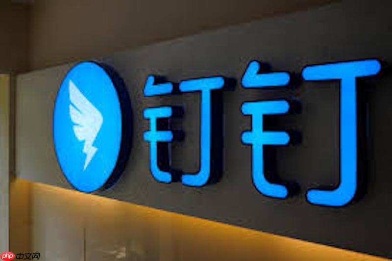 钉钉群消息撤回不了怎么办 钉钉聊天记录恢复与操作方法