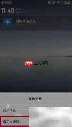 小米四格体验精华版